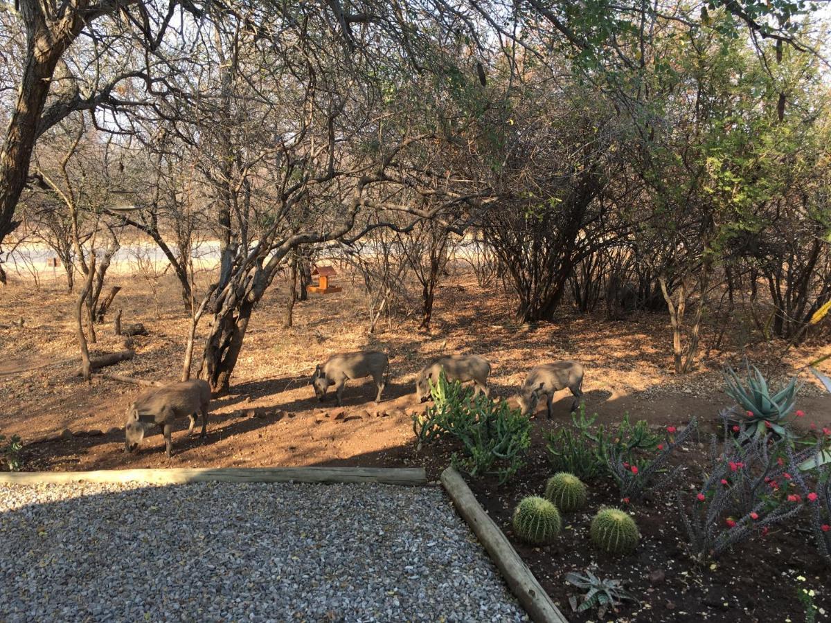 Giraffe Lodge Hoedspruit Exteriör bild