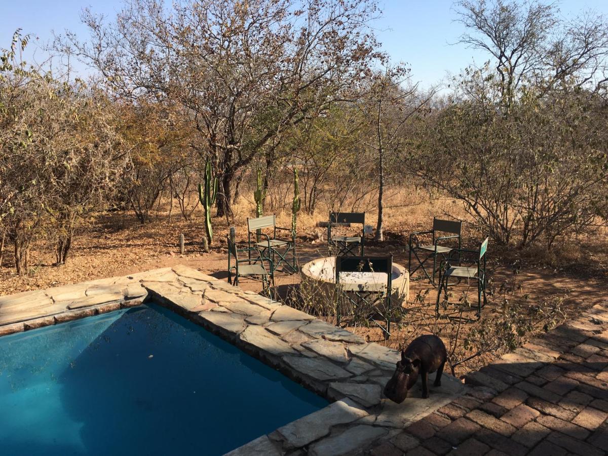 Giraffe Lodge Hoedspruit Exteriör bild