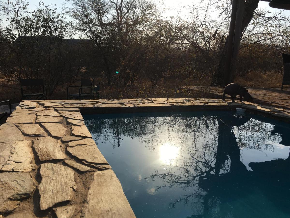 Giraffe Lodge Hoedspruit Exteriör bild