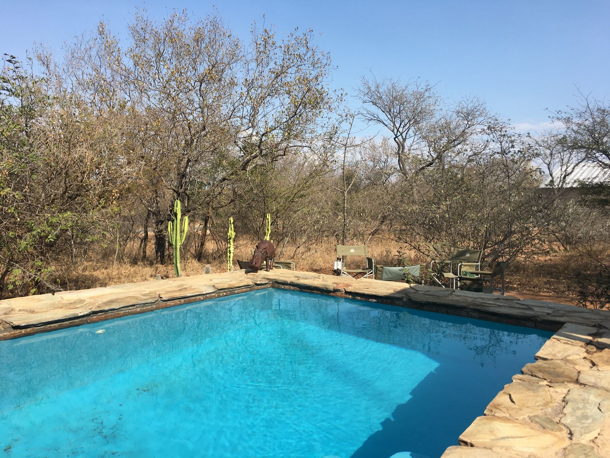 Giraffe Lodge Hoedspruit Exteriör bild
